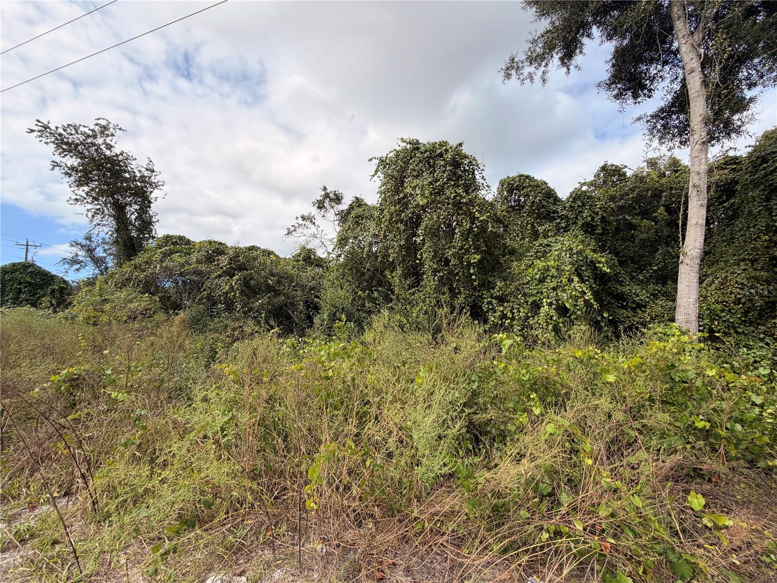 Lot 55 PALMETTO CIRCLE