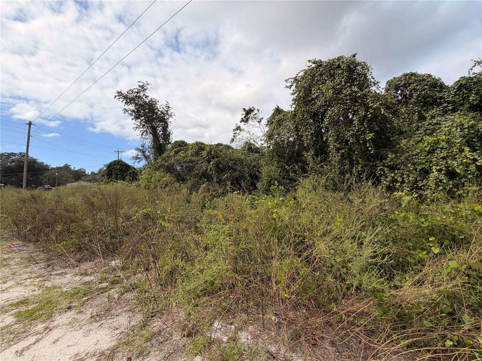 Lot 55 PALMETTO CIRCLE