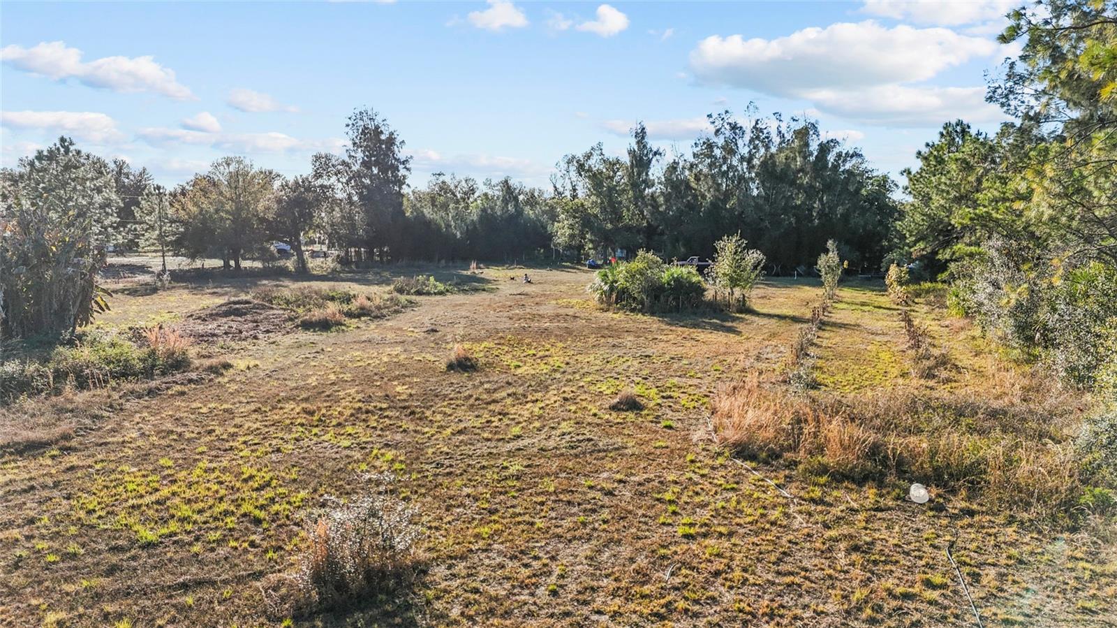 TALL PINES ESTATES - Residential