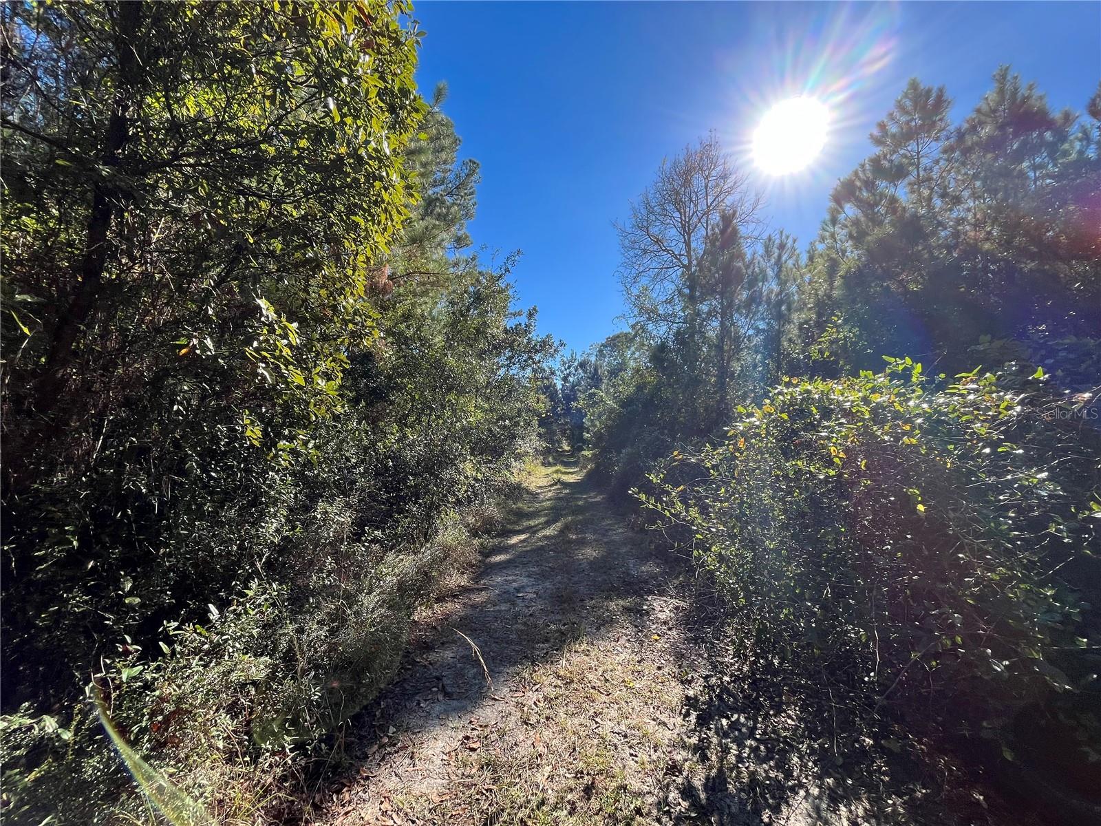 223 MOURNING DOVE ROAD