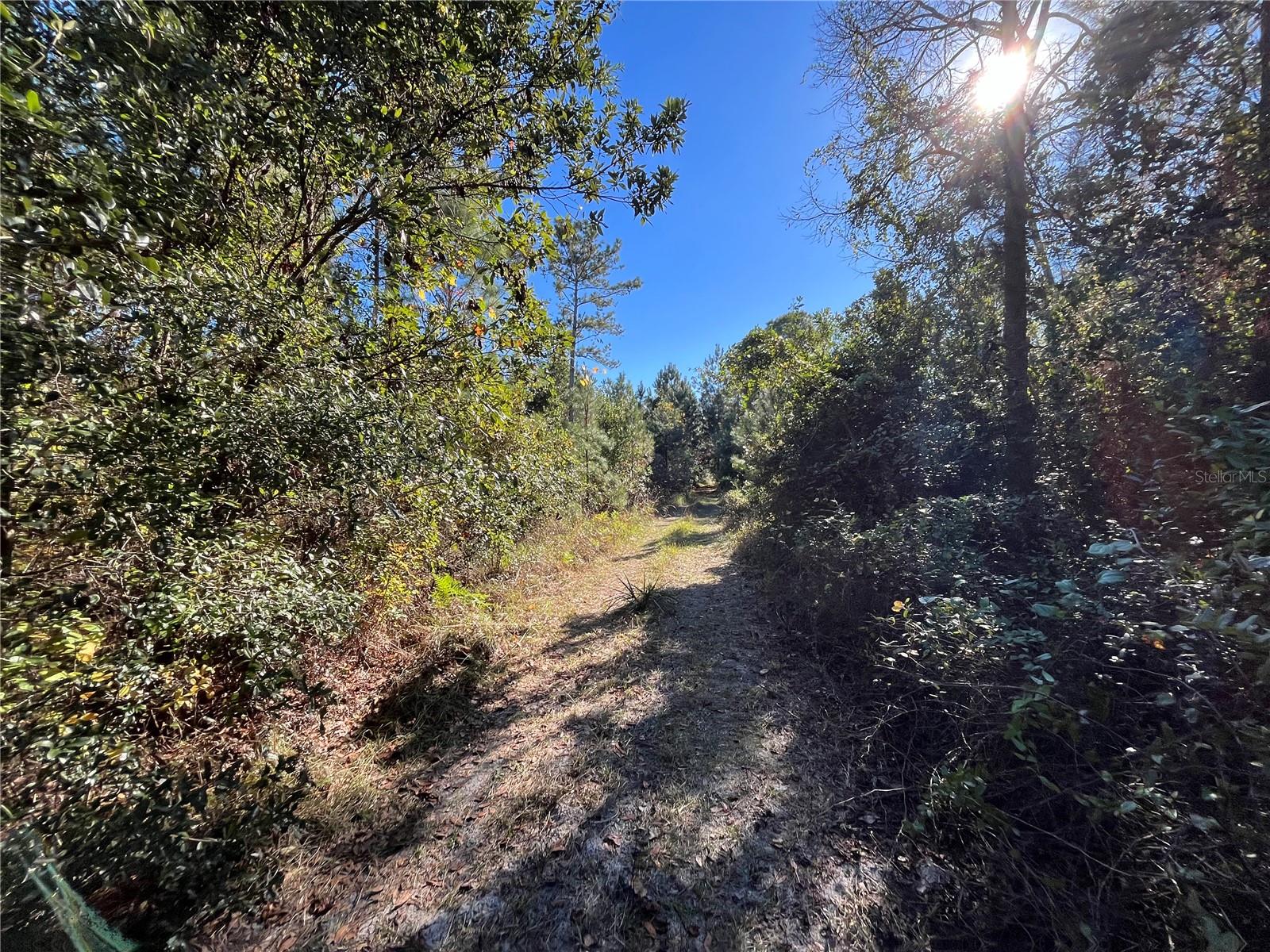 223 MOURNING DOVE ROAD