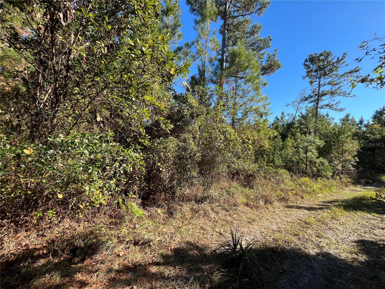 223 MOURNING DOVE ROAD