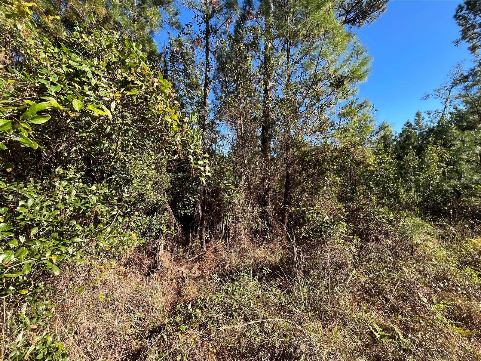 ST JOHNS RIVERSIDE ESTATES - Land