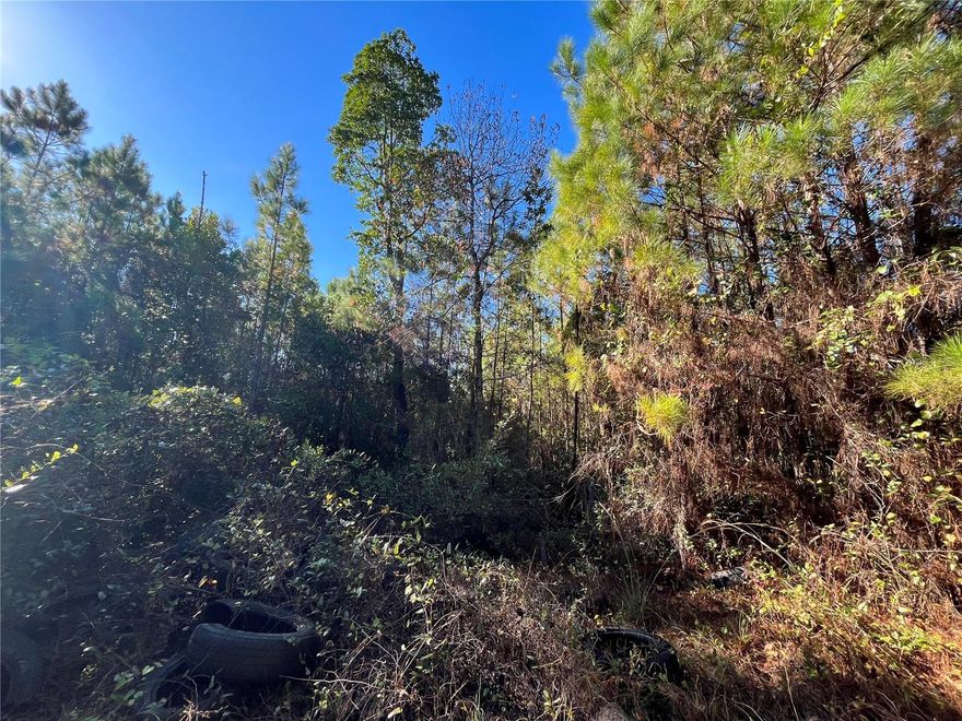 Owner financing available with only $800 down. Don't Miss out on this vacant lot in growing Putnam County. Recently mulched! Close to St Johns River with public boat ramp. Looking to purchase your dream property in Florida, look no further. Buying Land in Florida is a solid investment for your future, build your dream home, vacation home, rental investment or let the land build value as a great long-term investment to resell for a future profit.