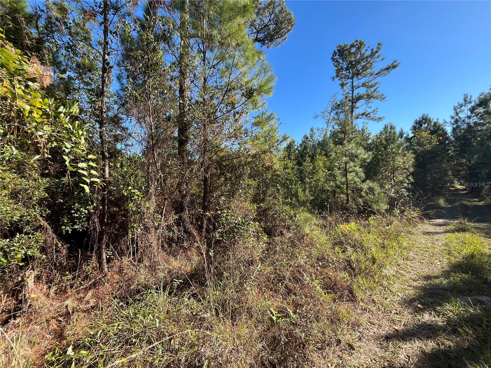 ST JOHNS RIVERSIDE ESTATES - Land