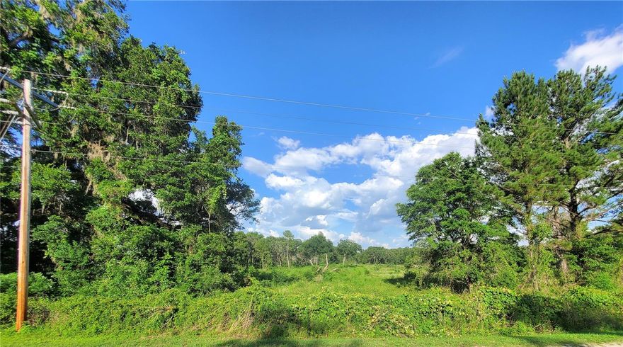 32.55 Acres located in NW part of Marion County FL, approximately 12 miles from the World Equestrian Center
(WEC). It’s the perfect location for horses and farm animals! Give me a call for more information.