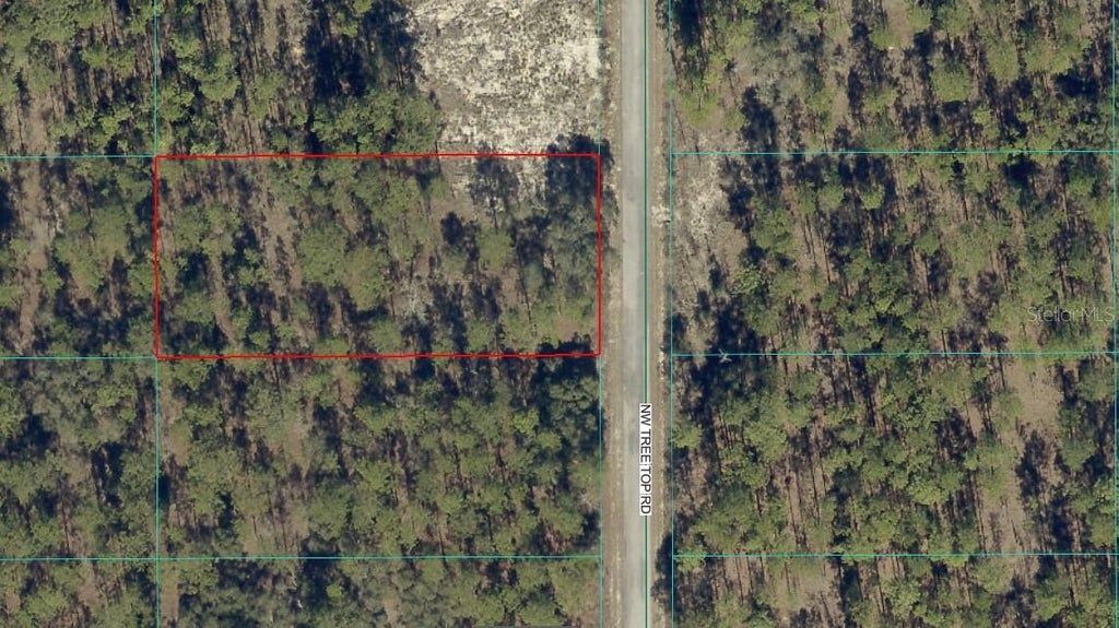 Photo of NW Tree Top Road, Dunnellon, FL 34431 (MLS # OM734990)