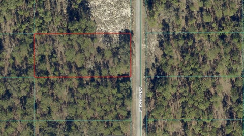 NW TREE TOP ROAD DUNNELLON FL 34431