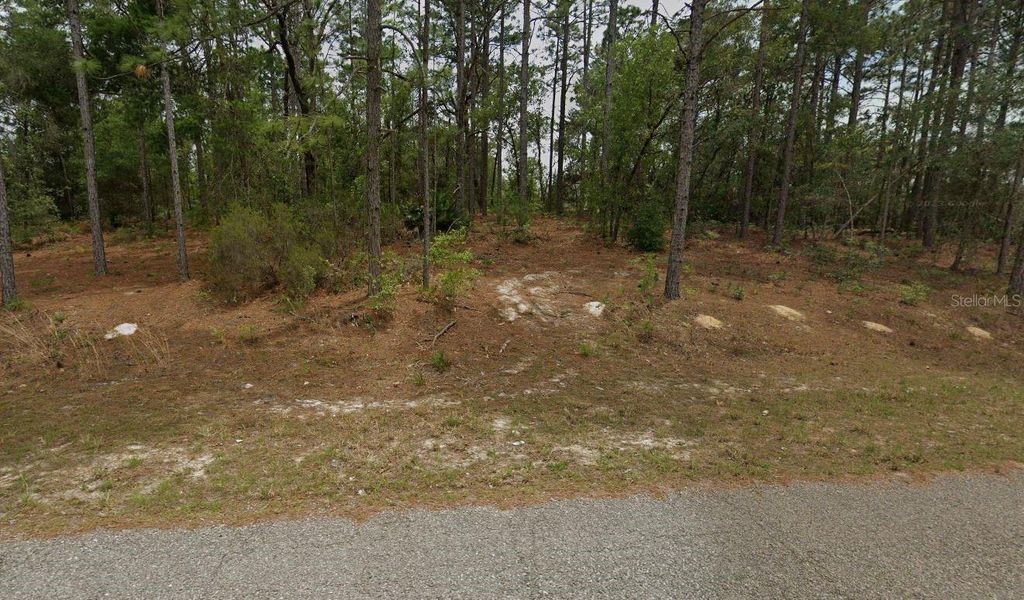 Photo of 2540 W Ventura Lane, Citrus Springs, FL 34434 (MLS # FC311511)