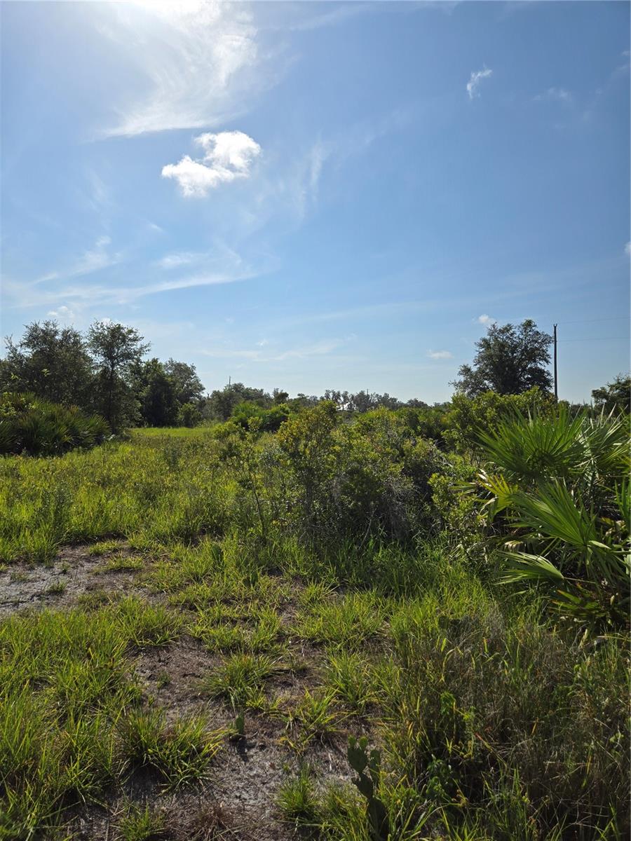 WINDING CREEK - Land