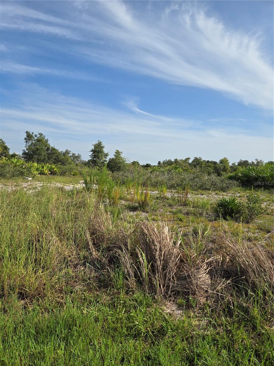 WINDING CREEK - Land
