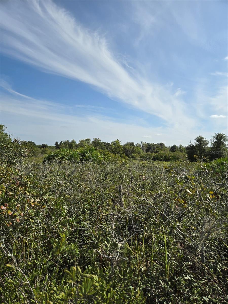 WINDING CREEK - Land
