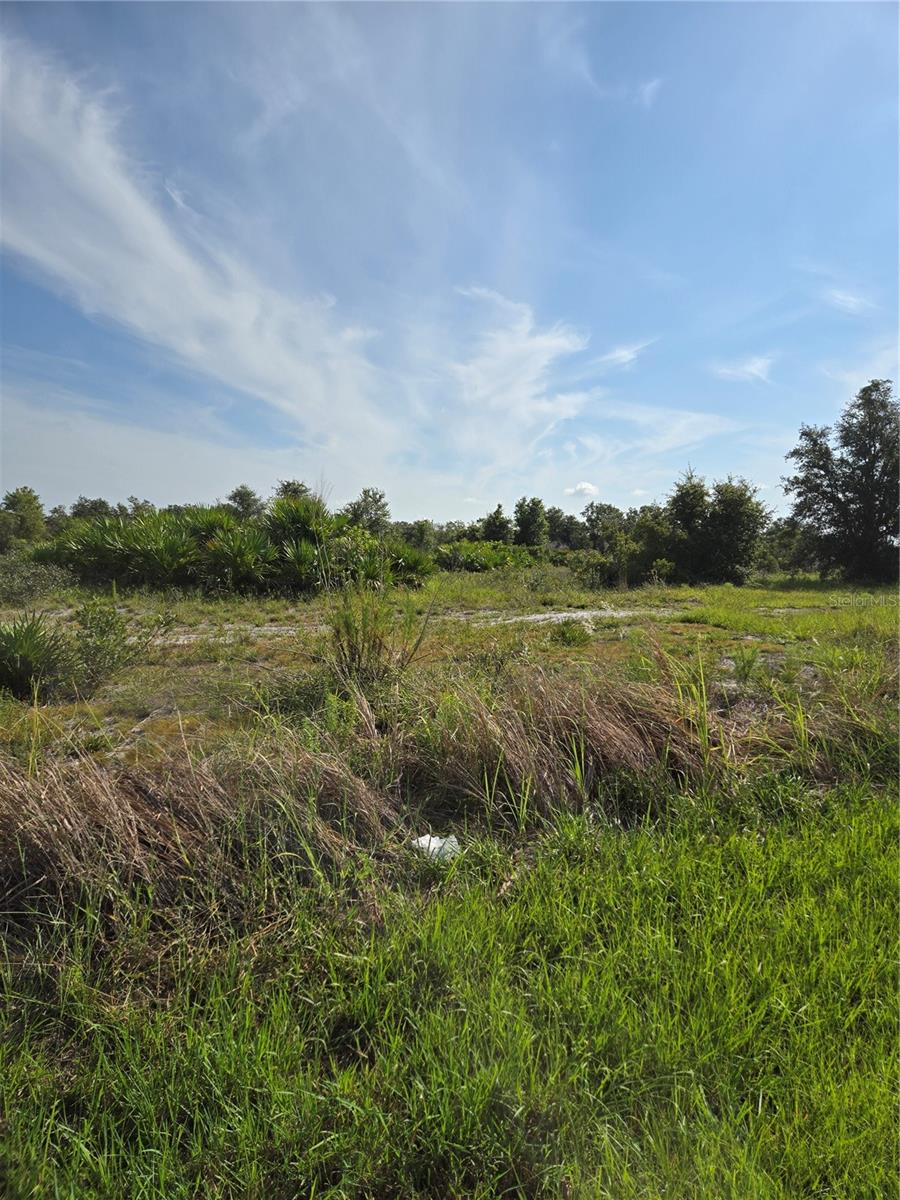 WINDING CREEK - Land