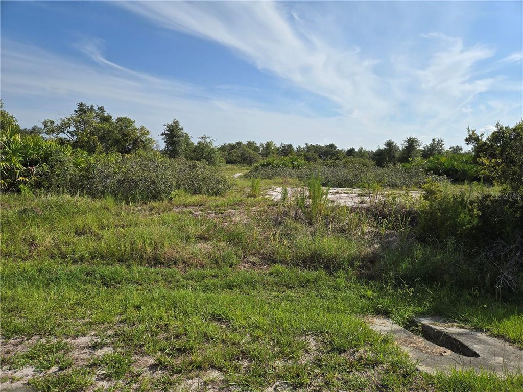 Photo of 39905 11th Avenue E, Myakka City, FL 34251 (MLS # A4660739)