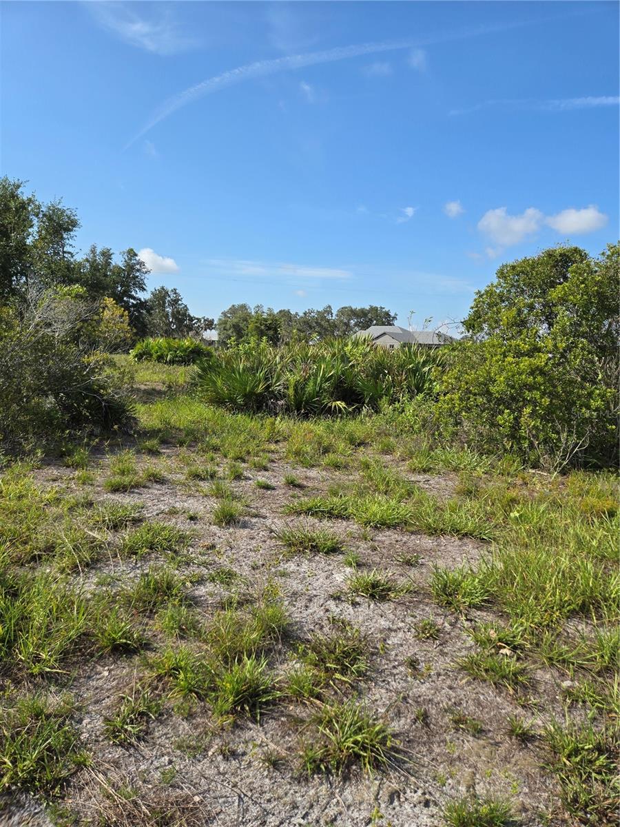 WINDING CREEK - Land