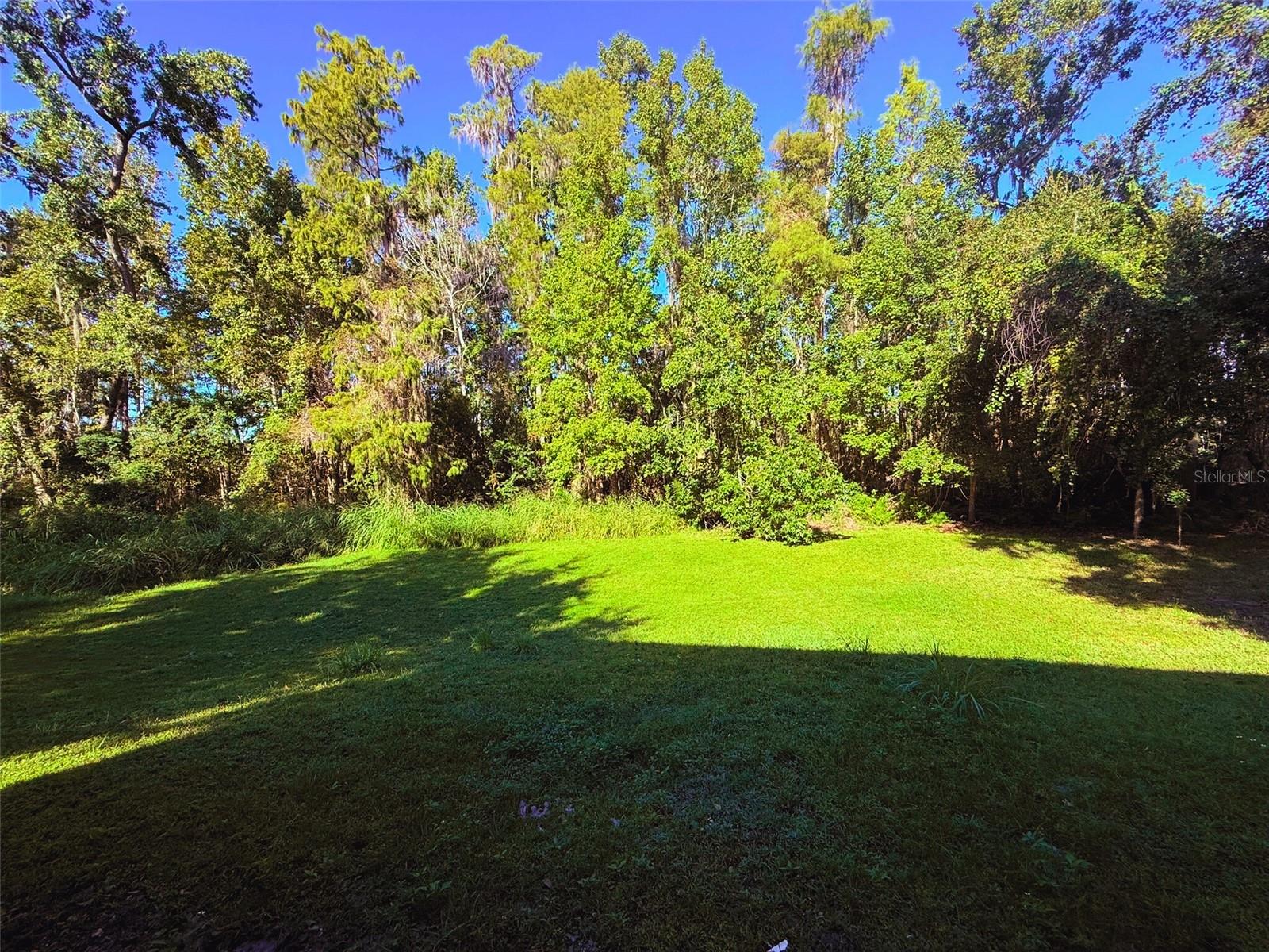 GROVELAND EAGLE PINES - Residential