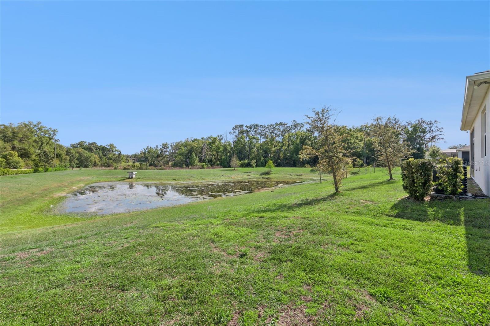 SPRING CREEK - Residential