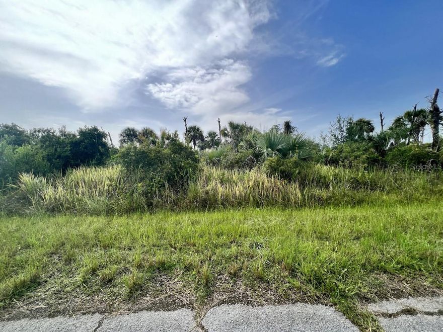 Very nice northern rear exposure lot. Close to highway I-75. This lot offers a fantastic opportunity to build your dream home or invest in a growing community. Port Charlotte is known for its beautiful scenery, Do not miss out on this chance to secure a prime piece of real estate!