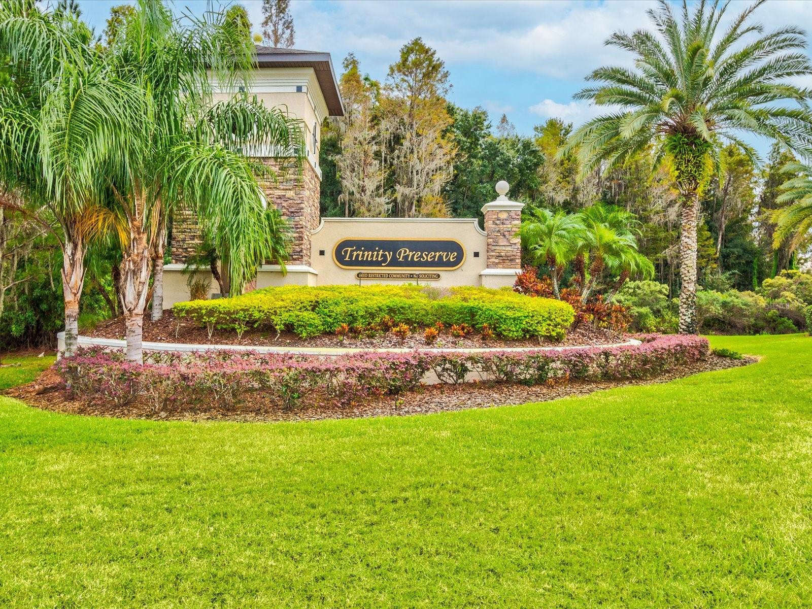 TRINITY PRESERVE PH 1 - Residential