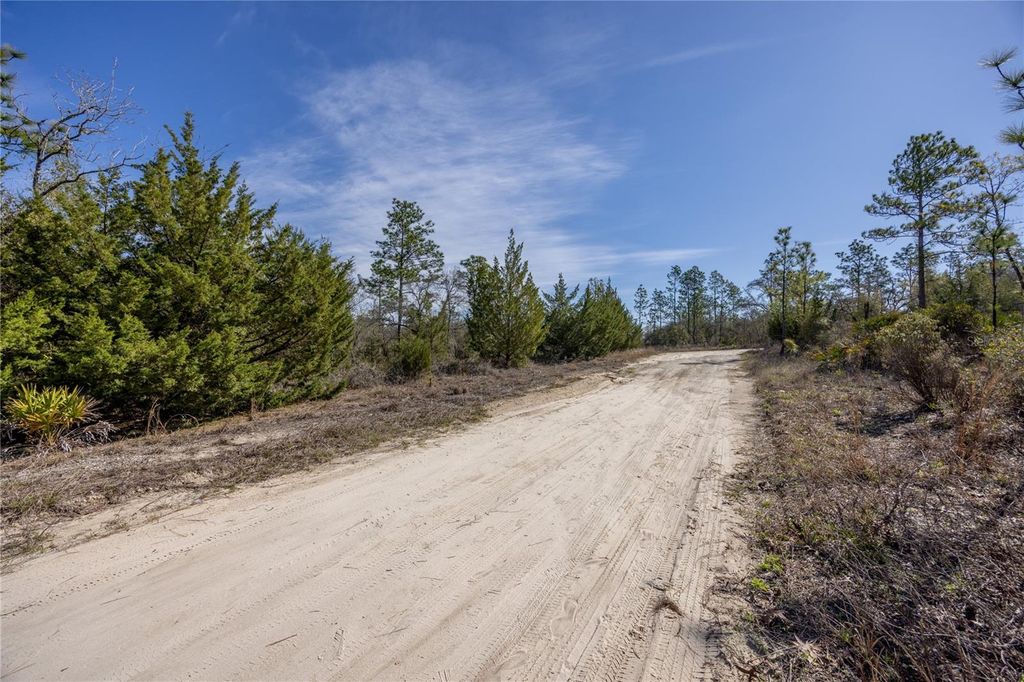 Photo of 000 NE 64th Place, Williston, FL 32696 (MLS # GC538687)