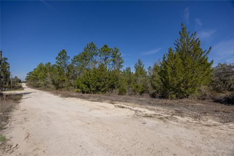 000 NE 64TH PLACE WILLISTON FL 32696