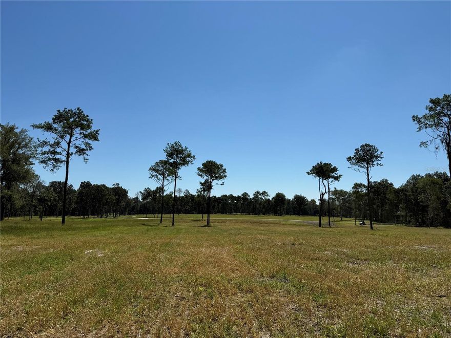 This listing is for Dungarven Ridge Lot #8. 10.03ac in the heart of Horse Country located off of quiet NW 193rd St. A Must SEE. Beautiful pasture with large mature Live Oaks, and towering Longleaf Pines. Incredible rolling terrain. Minor Deed Restrictions to protect the integrity of your investment but give you the freedoms you would expect when owning land. Less than 25 minutes from Ocala and Gainesville, Great Location. 5 minutes from the WEC Ocala Jockey Club (recently purchased by the owners of the World Equestrian Center), 25 minutes from the World Equestrian Center. OWNER FINANCING AVAILABLE 20% Down, 10% Interest, based on 10 year amortization, 3yr fixed, 3 year balloon, Payments = $2,753/mo (Buyer pays all Closing Costs on Owner Financed Purchases includes Doc Stamps on Deed & Mortgage, Intangible Tax on Mortgage, Title Insurance, $100 Loan Fee, $10/mo Collection Fee...)....Additional Acreage Available - call for details. LA will show you all available inventory upon request.