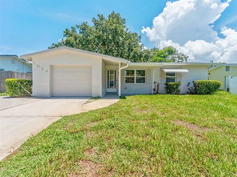 1024 SAN MARCO DRIVE LARGO FL 33770