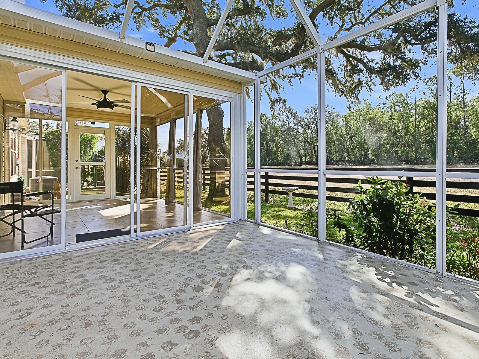 1254 CHAPARRAL DRIVE