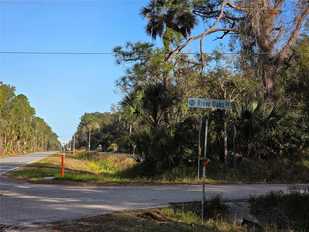 Photo of 1243 Gee Whiz Drive, Osteen, FL 32764 (MLS # V4946961)