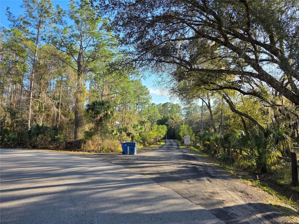 Photo of 1243 Gee Whiz Drive, Osteen, FL 32764 (MLS # V4946961)