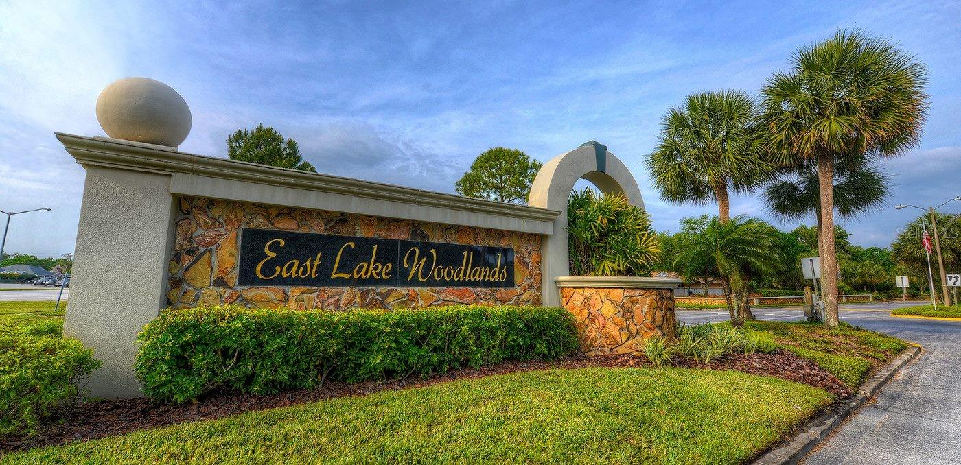 EAST LAKE WOODLANDS - Residential