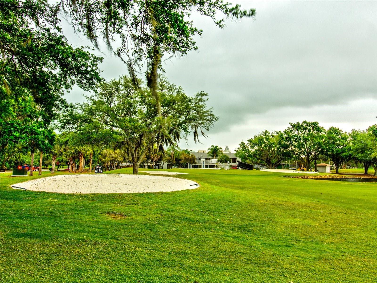 EAST LAKE WOODLANDS - Residential