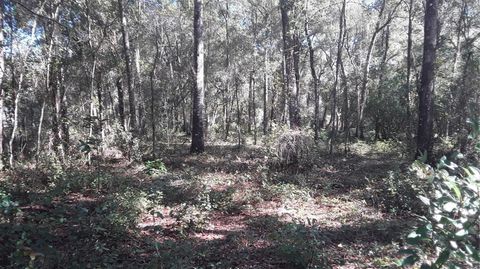 2010 FALKNER STREET INVERNESS FL 34453