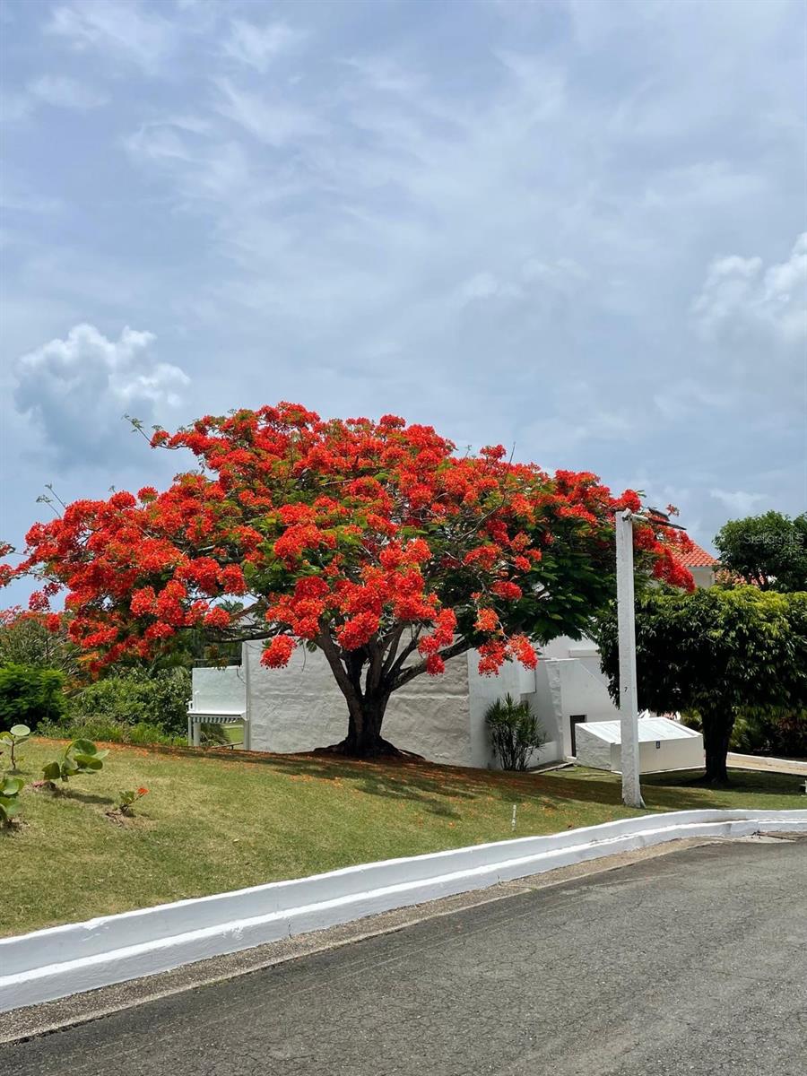 RIO MAR CLUSTER 2 - Residential