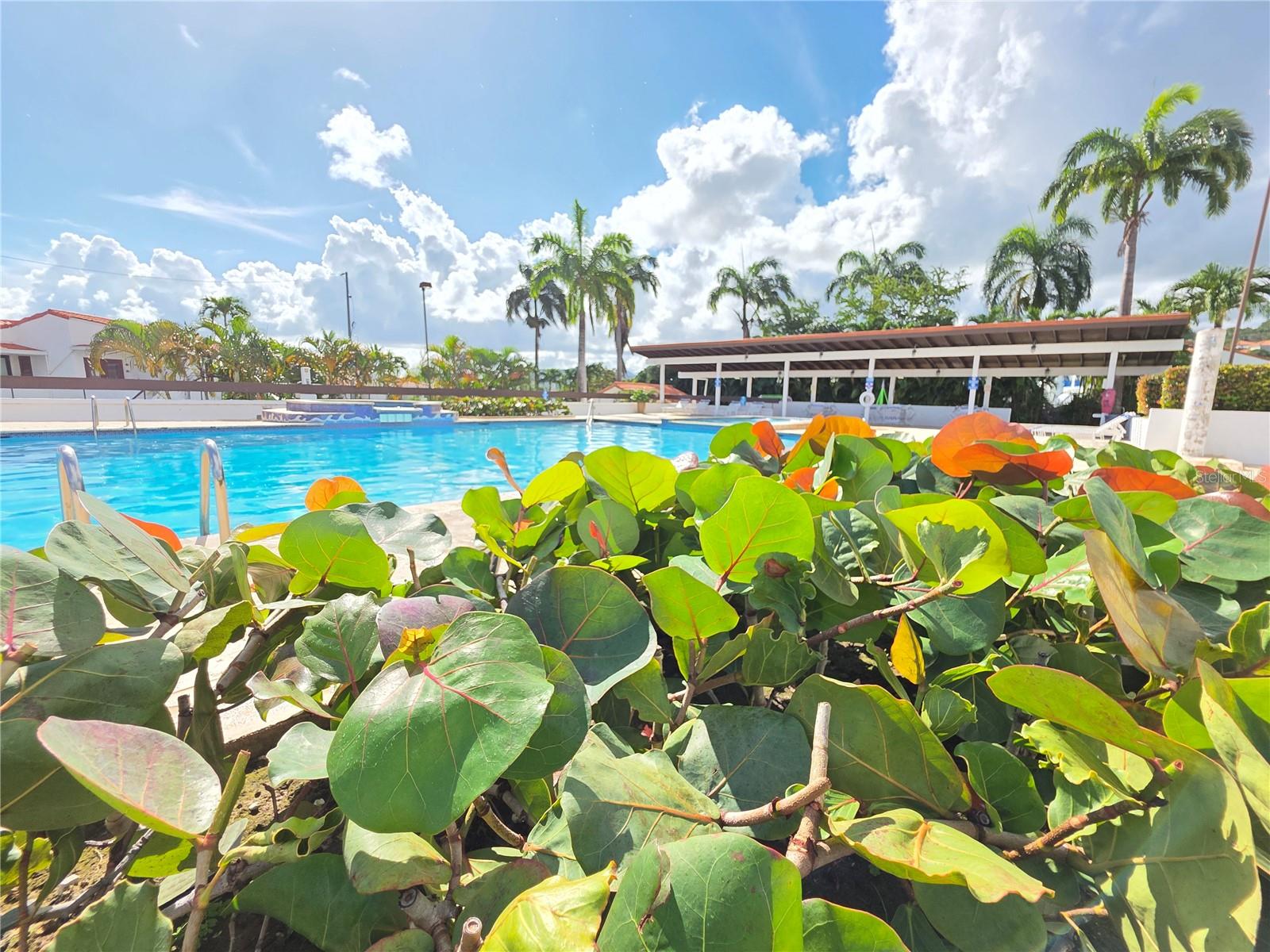 RIO MAR CLUSTER 2 - Residential