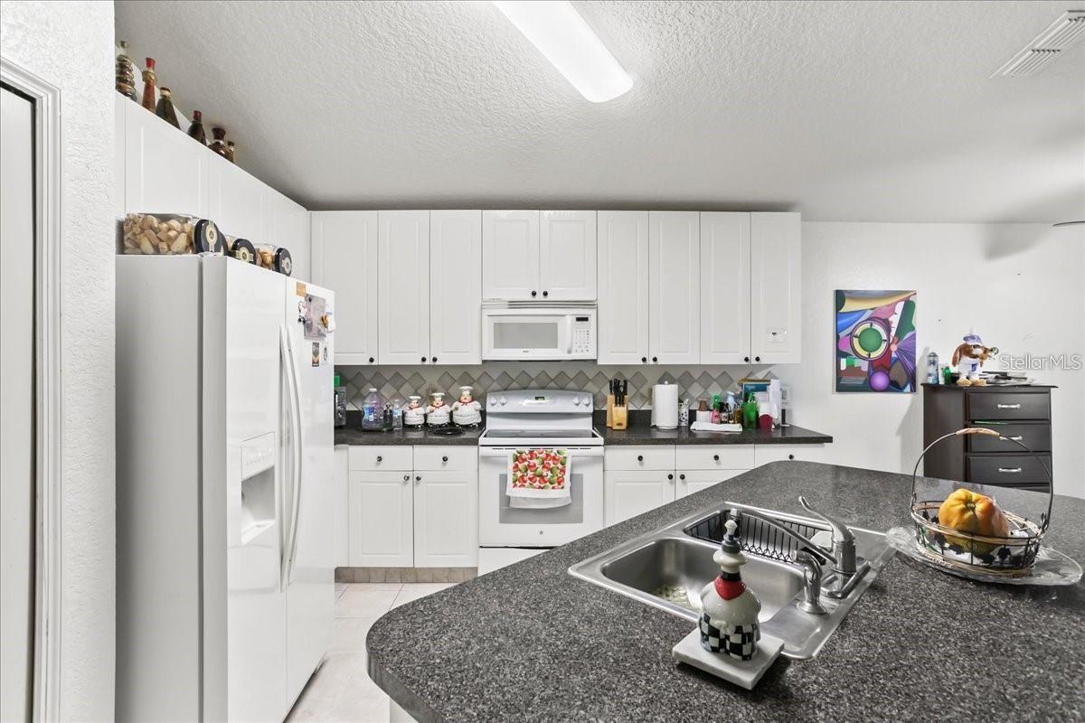 3414 WILLOW BRANCH LANE