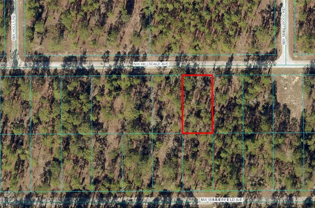 Photo of 15 NW Hillsdale Avenue, Dunnellon, FL 34431 (MLS # OM700500)