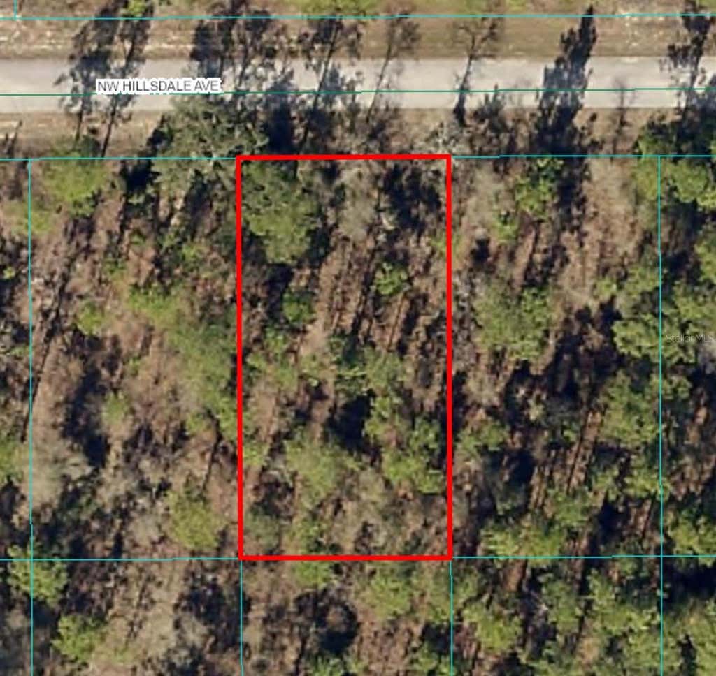 Photo of 15 NW Hillsdale Avenue, Dunnellon, FL 34431 (MLS # OM700500)