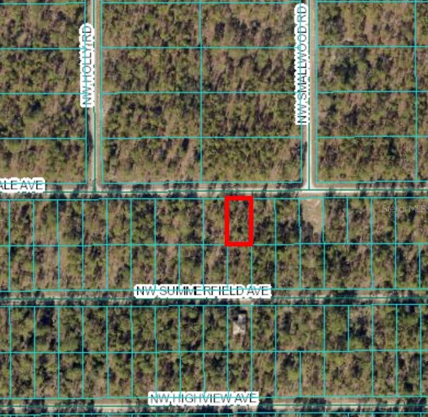 Photo of 15 NW Hillsdale Avenue, Dunnellon, FL 34431 (MLS # OM700500)
