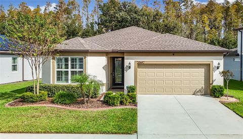 A home in LAND O LAKES