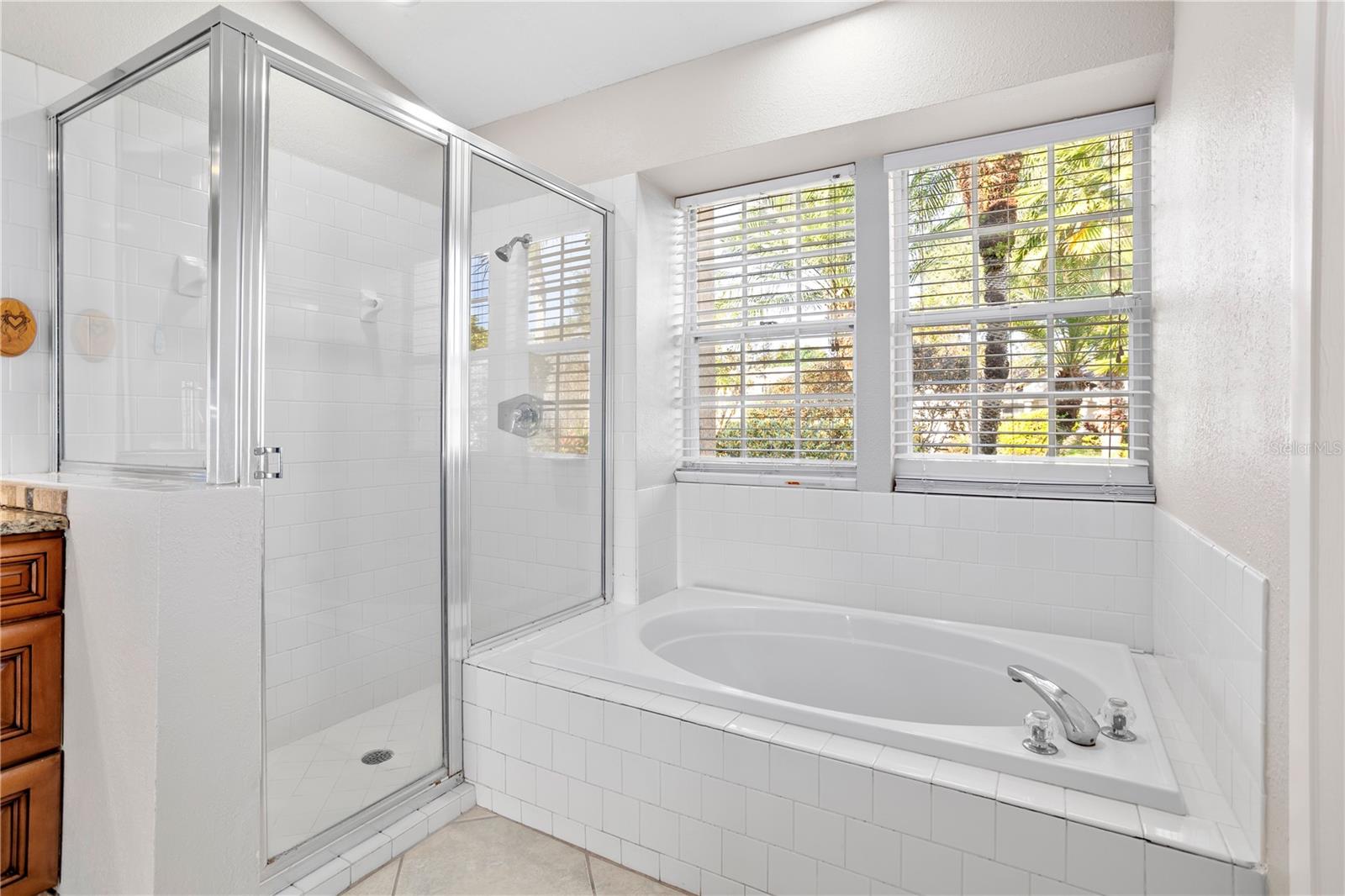 TWIN RIVERS MODEL HOME AREA - Residential