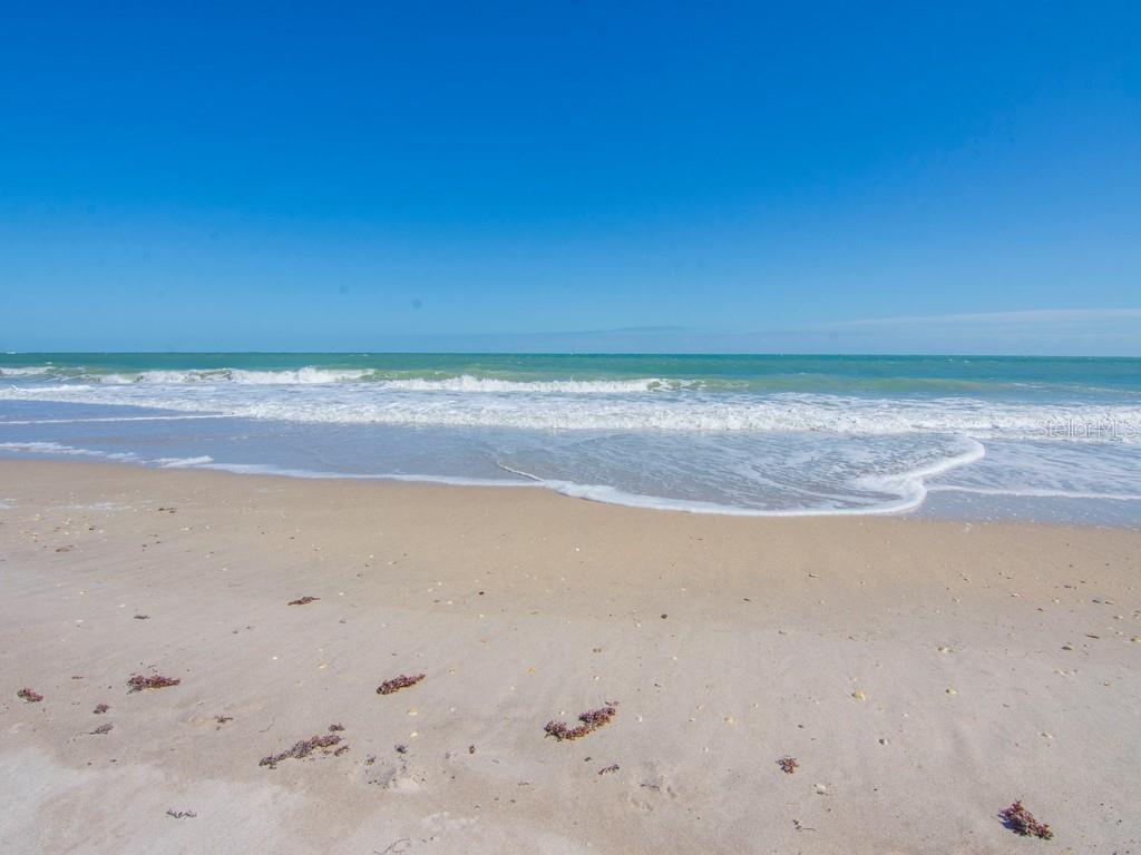 3135 HIGHWAY A1A 202