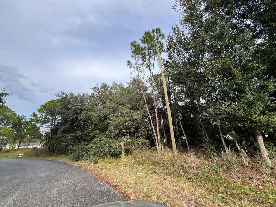 Vacant lot in beautiful Poinciana! This is a great opportunity to build your dream home in a growing community or secure a solid investment property for the future. Conveniently located just minutes away from shopping centers, schools, and hospitals. Don’t miss out on this prime lot in a rapidly developing area!