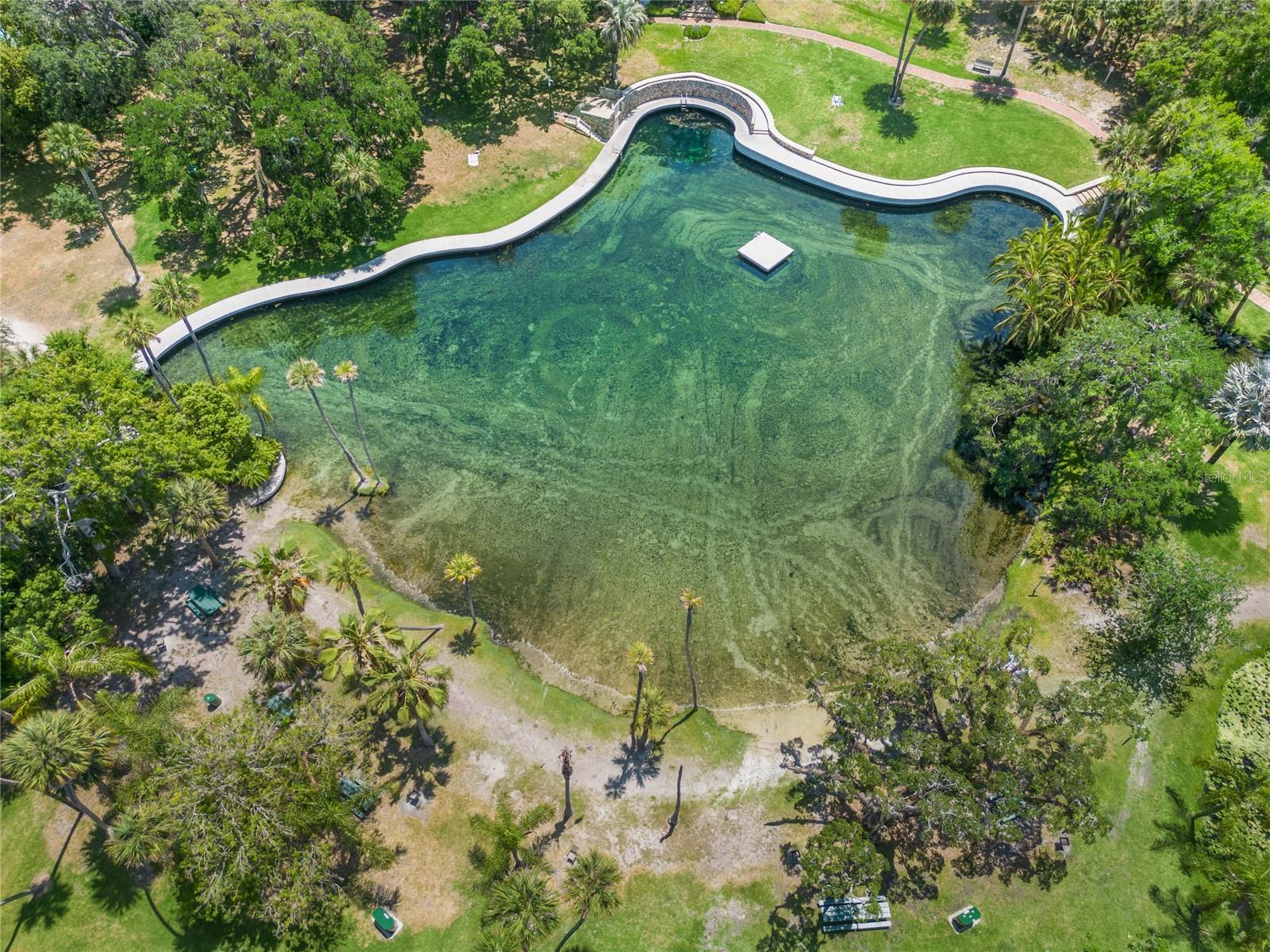 SPRINGS WHISPERING PINES - Residential