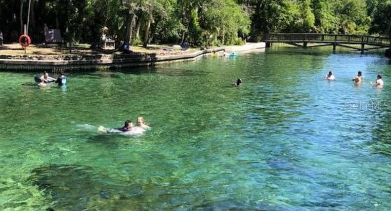SPRINGS WHISPERING PINES - Residential