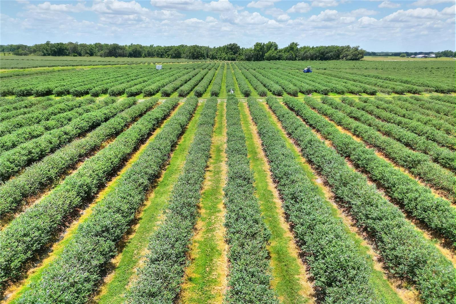 3674 E STATE ROAD 64