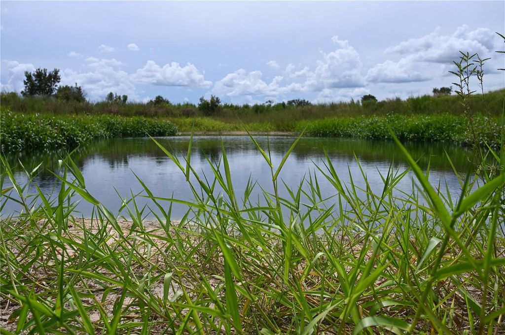 Photo of County Line Road E, Fort Meade, FL 33841 (MLS # OM713132)