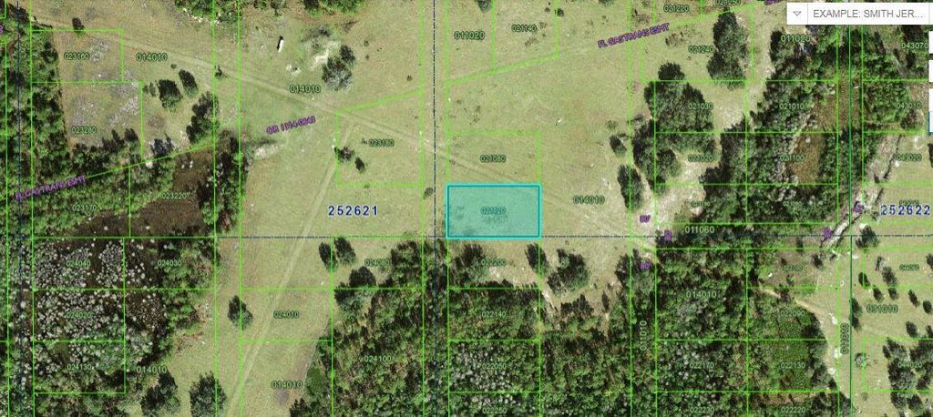 Photo of Commonwealth Ave N Avenue N, Polk City, FL 33868 (MLS # O6264132)