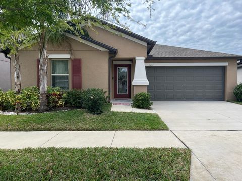 Single Family Residence in RIVERVIEW FL 11215 SAGE CANYON DRIVE.jpg