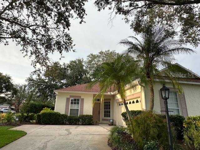 SUMMERFIELD VILLAGE SUBPHASE C - Residential
